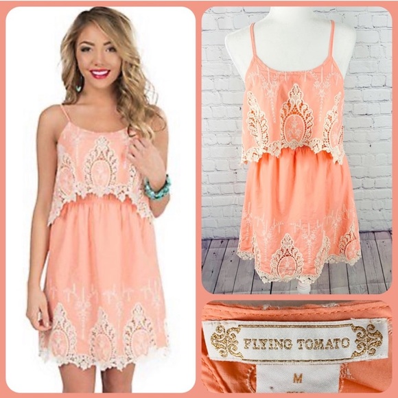 Flying Tomato Dresses & Skirts - Flying Tomato Coral Embroidered Sleeveless Dress